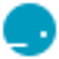 WhaleApp LTD website icon